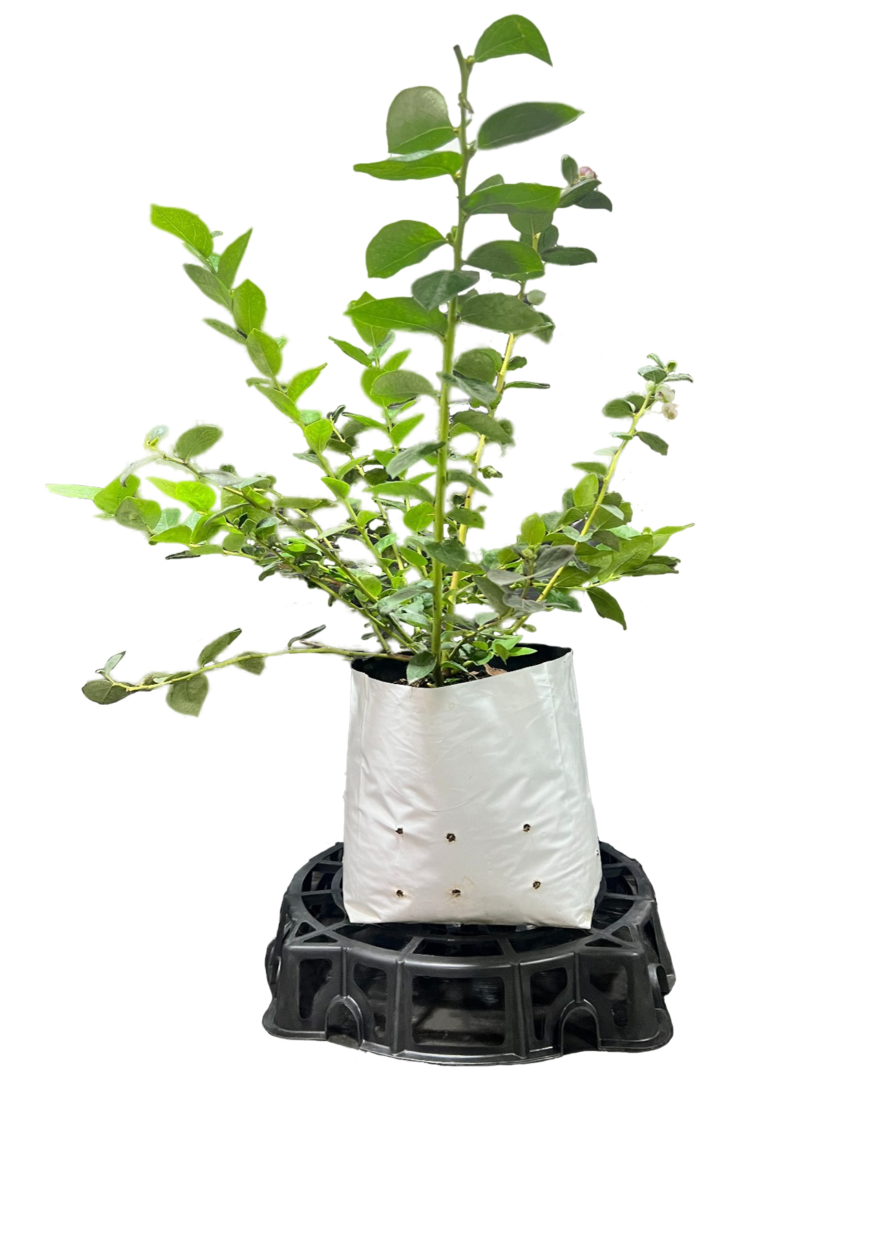 Base Elevadora Redonda - Imagen 2