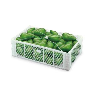 Canastilla para Exportación